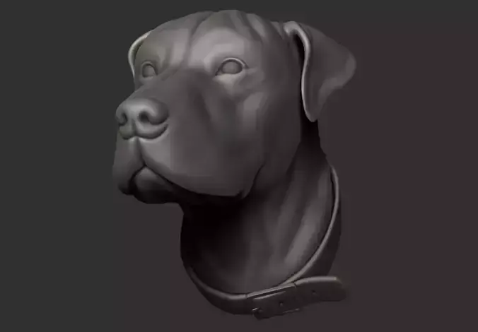 Pitbull dalmatian dog head