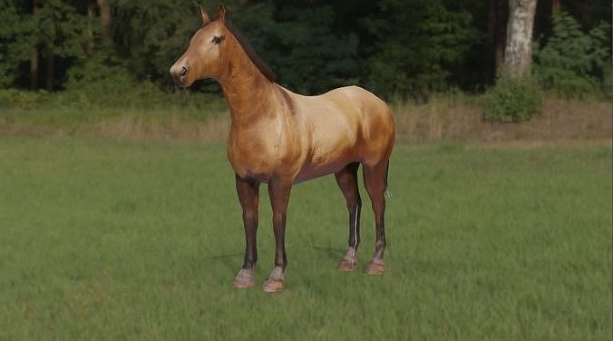 Horse 3d Model in field Free low-poly 3D model