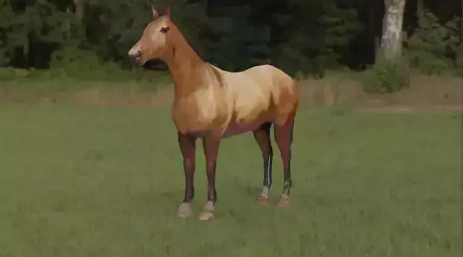Horse 3d Model in field