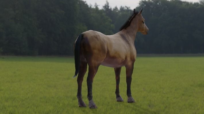 Horse 3d Model in field Free low-poly 3D model_1