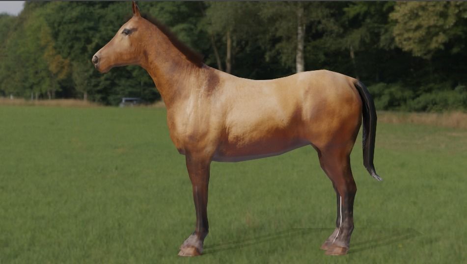 Horse 3d Model in field Free low-poly 3D model_2