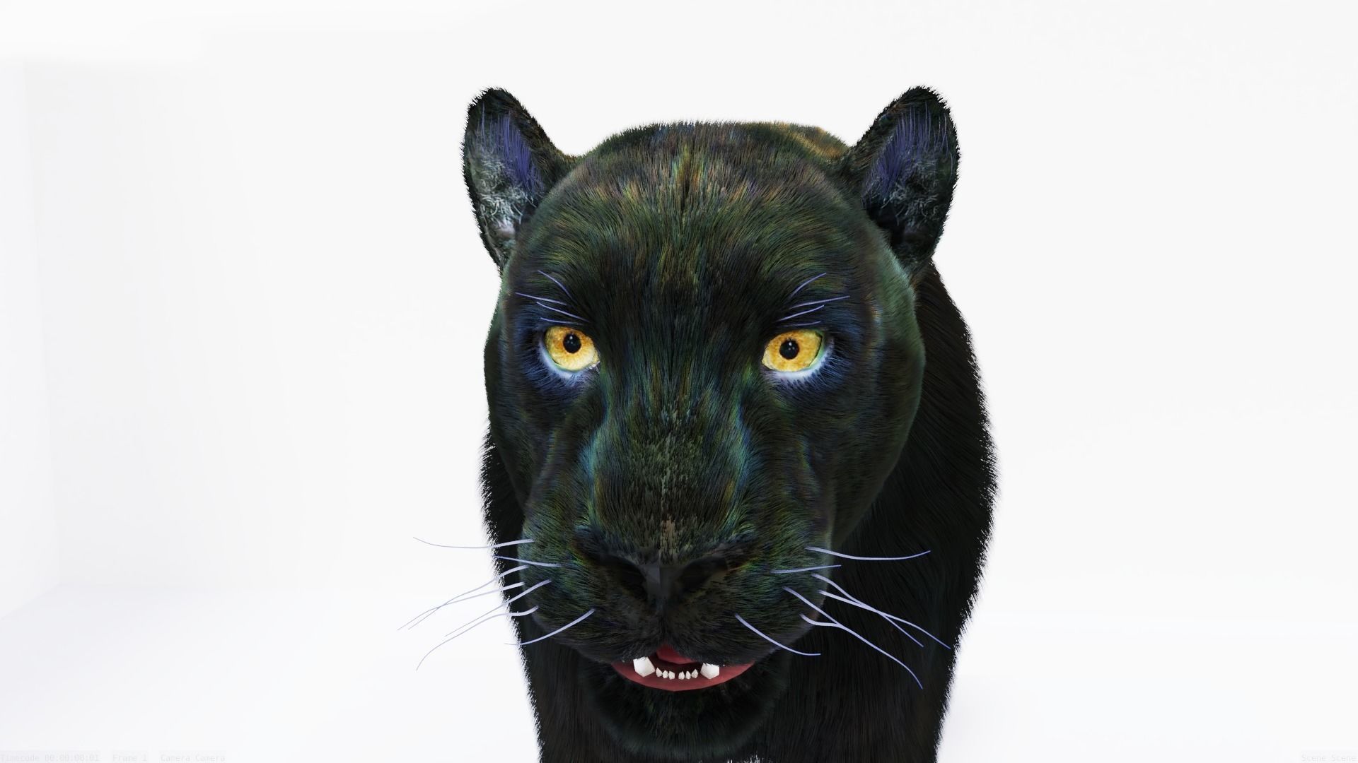 Realistic Fur Black Panther3D Model NO RIG Low-poly 3D model_1