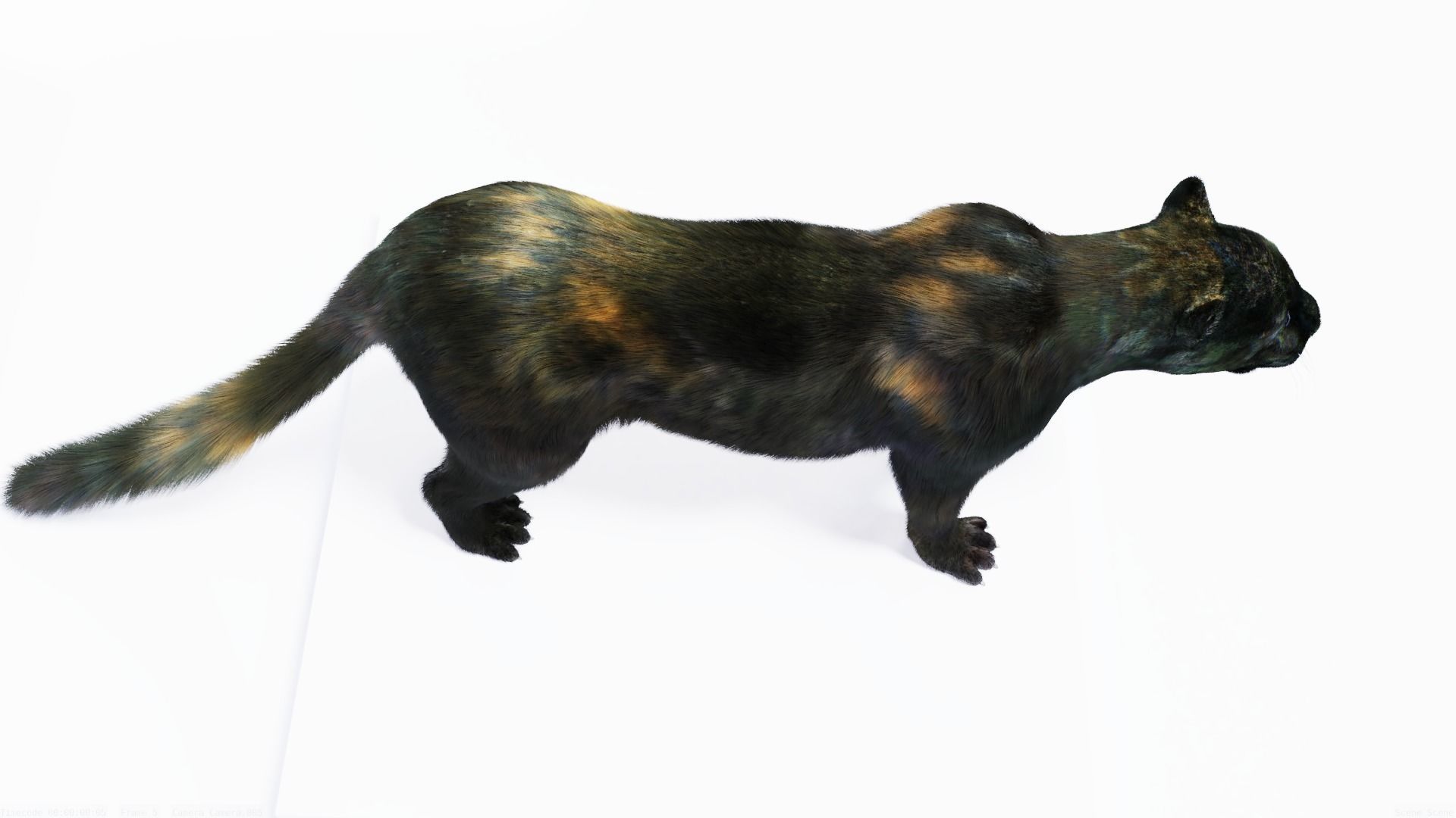 Realistic Fur Black Panther3D Model NO RIG Low-poly 3D model_2