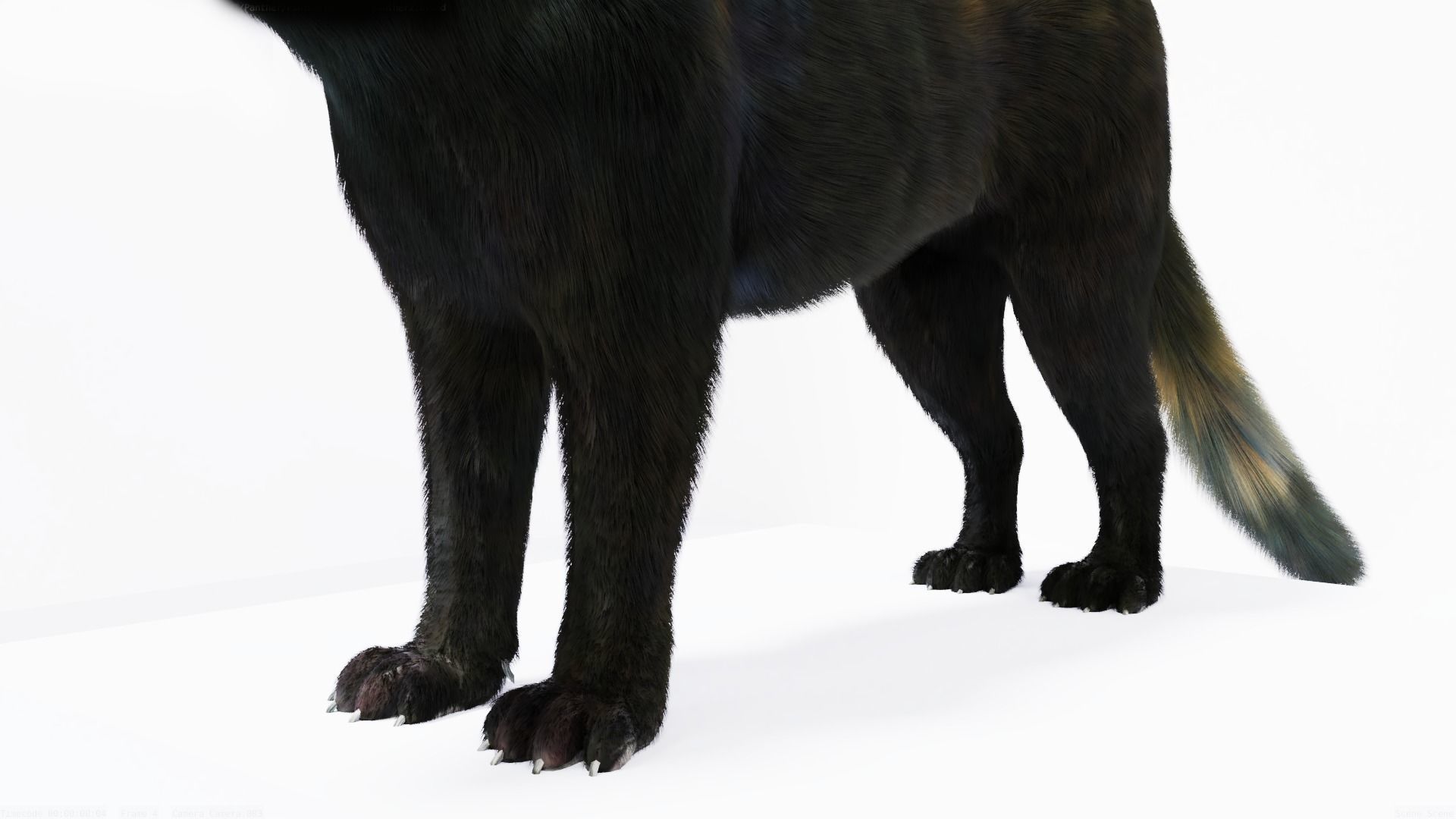 Realistic Fur Black Panther3D Model NO RIG Low-poly 3D model_3