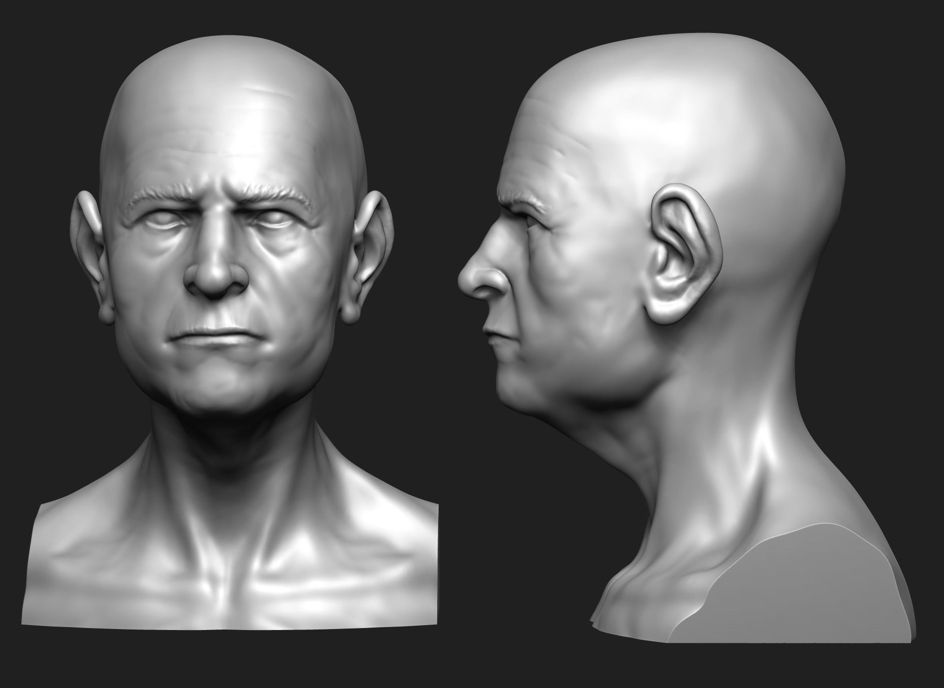 Old Man - Bust 3D print model_1