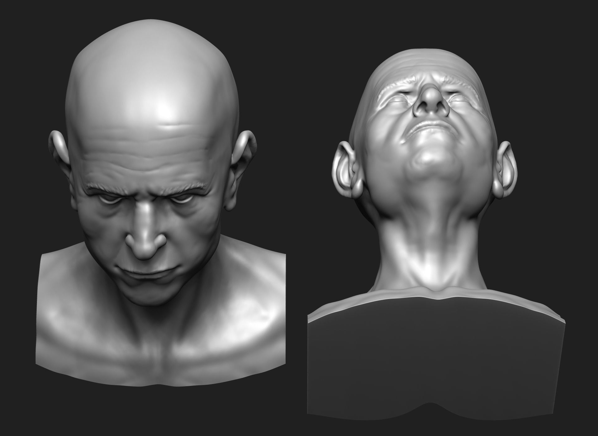 Old Man - Bust 3D print model_4