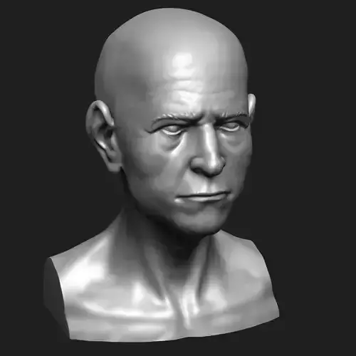 Old Man - Bust