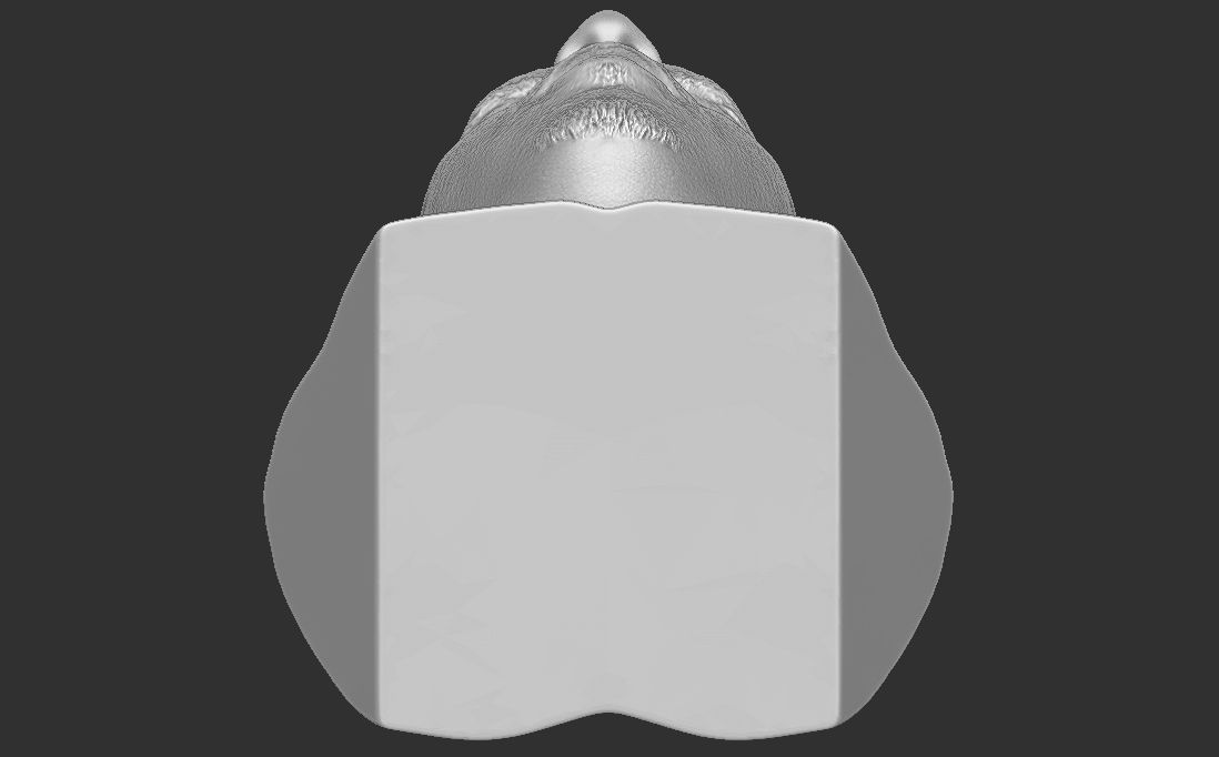 P Diddy bust 3D printing ready stl obj formats 3D print model_25