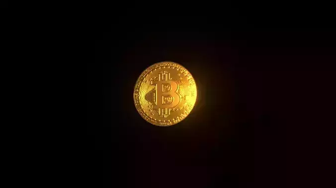 Bitcoin coin