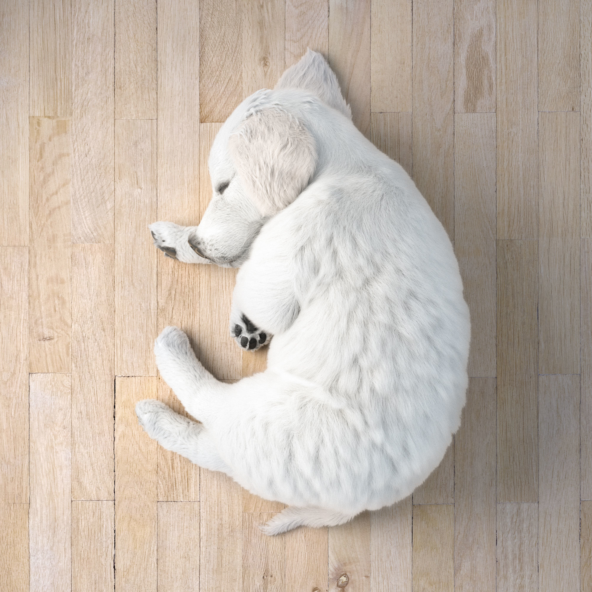 Golden Retriever sleeping dog puppy  3D model_3