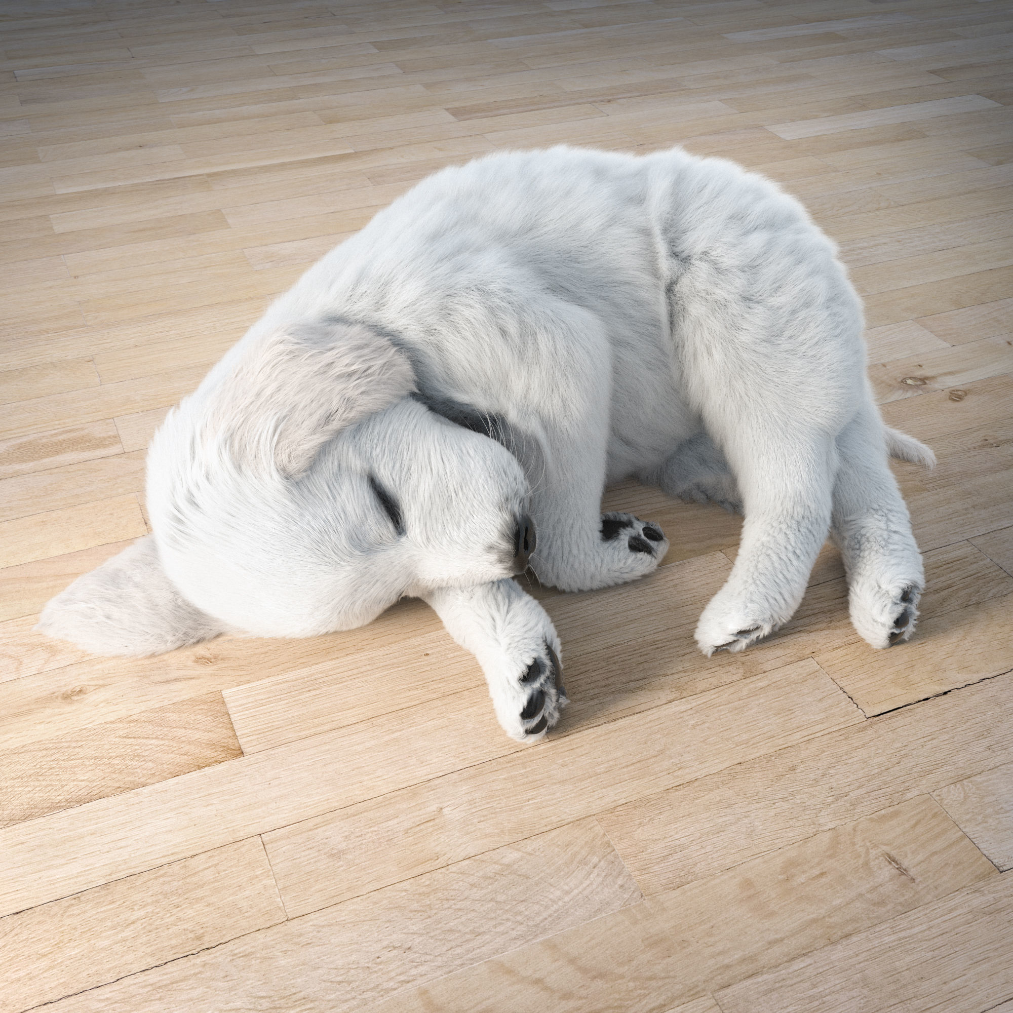 Golden Retriever sleeping dog puppy  3D model_5