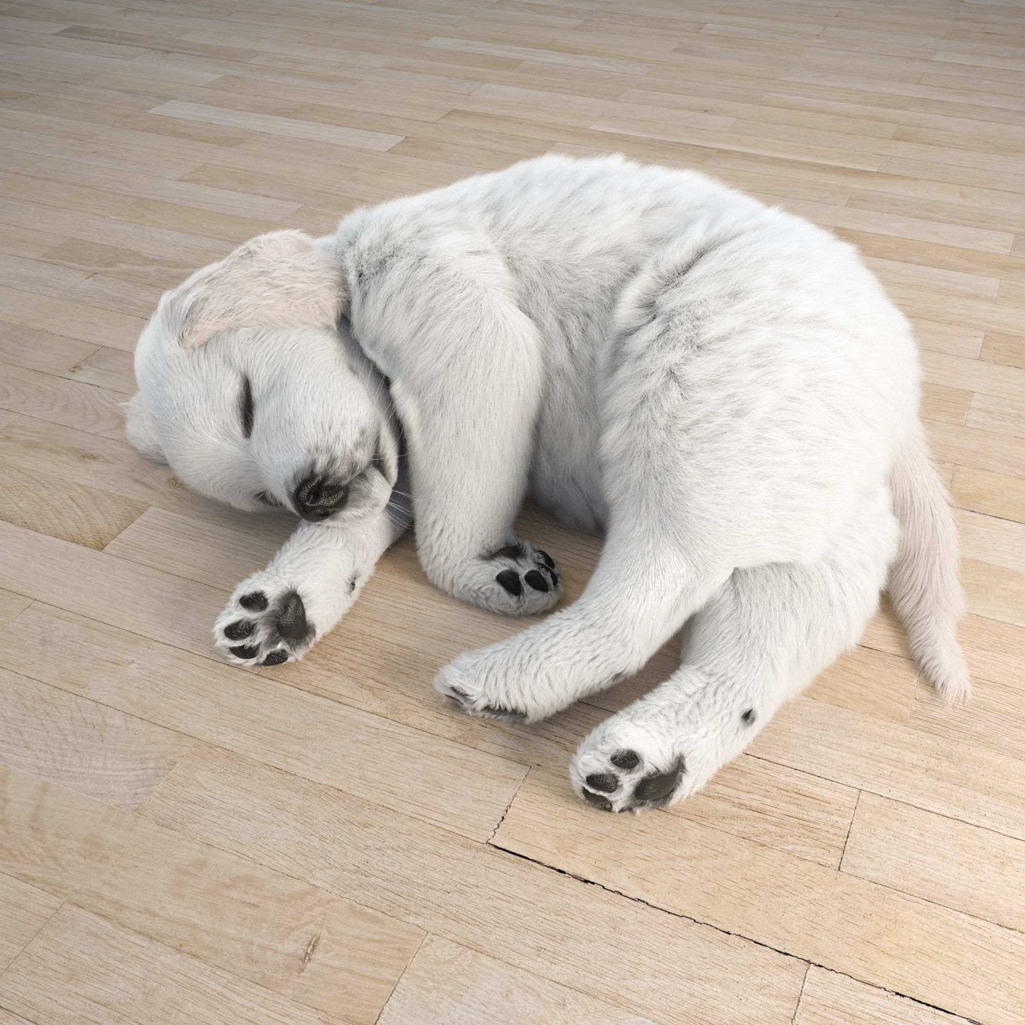 Golden Retriever sleeping dog puppy  3D model_4