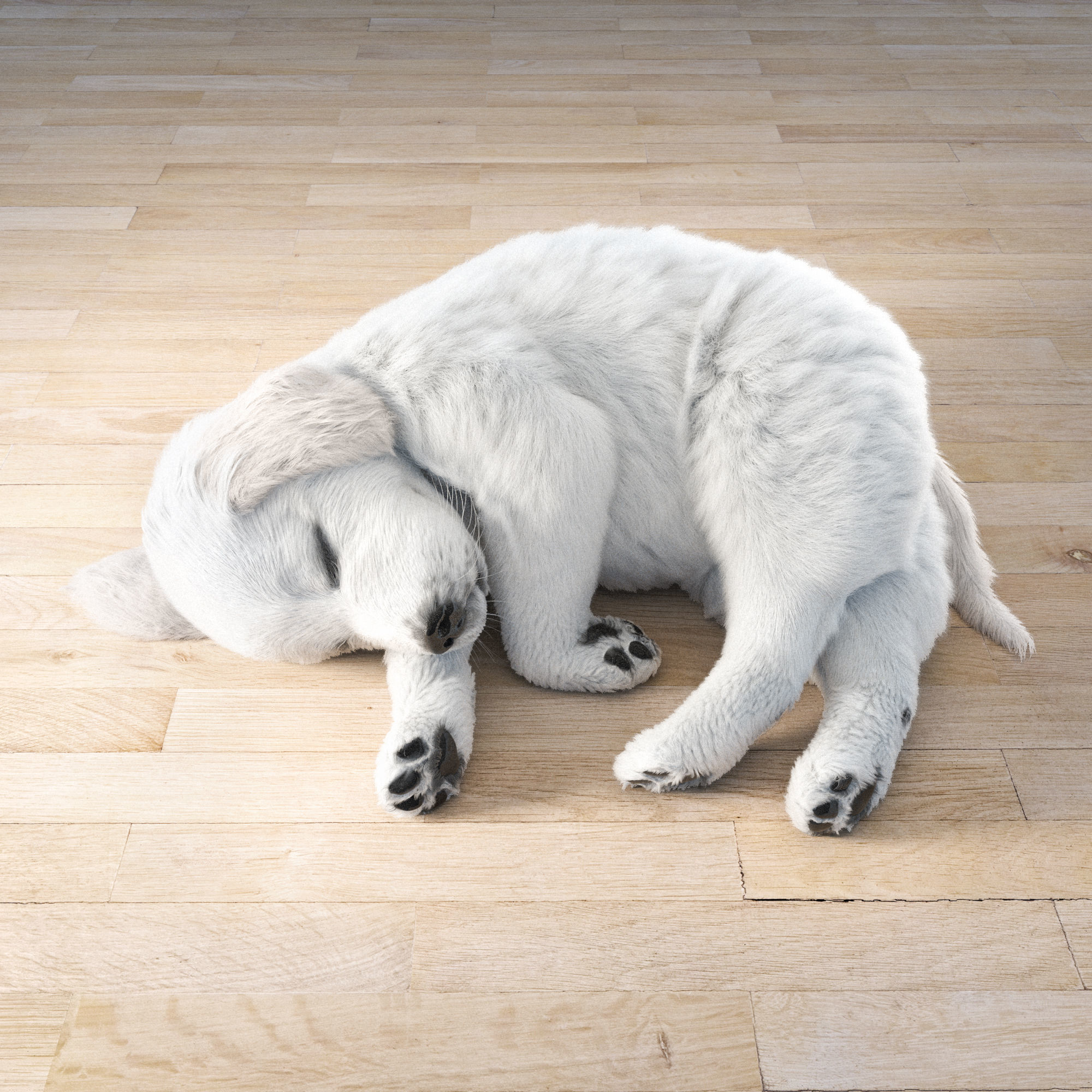 Golden Retriever sleeping dog puppy  3D model_2