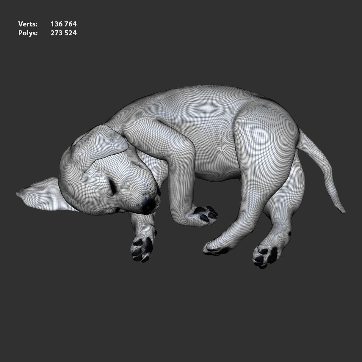 Golden Retriever sleeping dog puppy  3D model_7