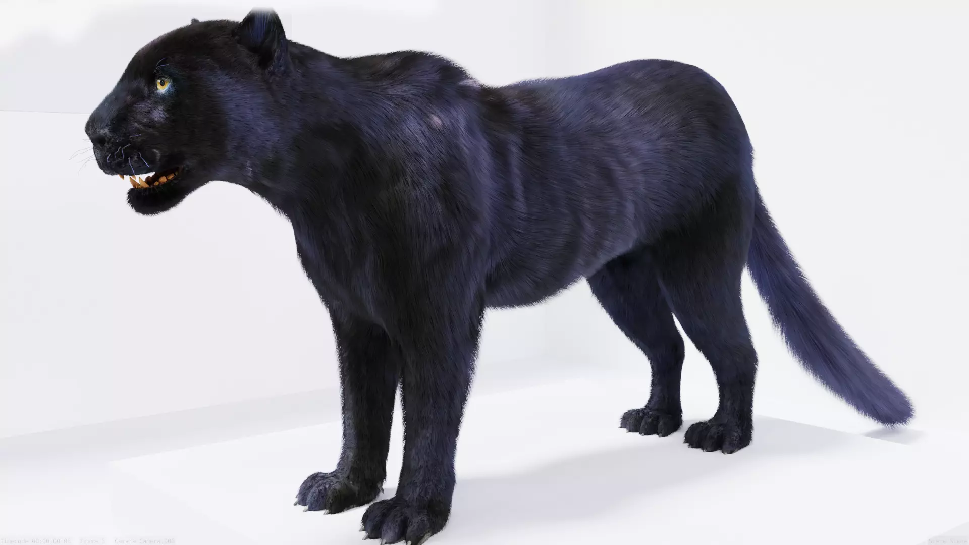 Realistic Fur Panther 02 3D Model NO RIG Low-poly 3D model_0