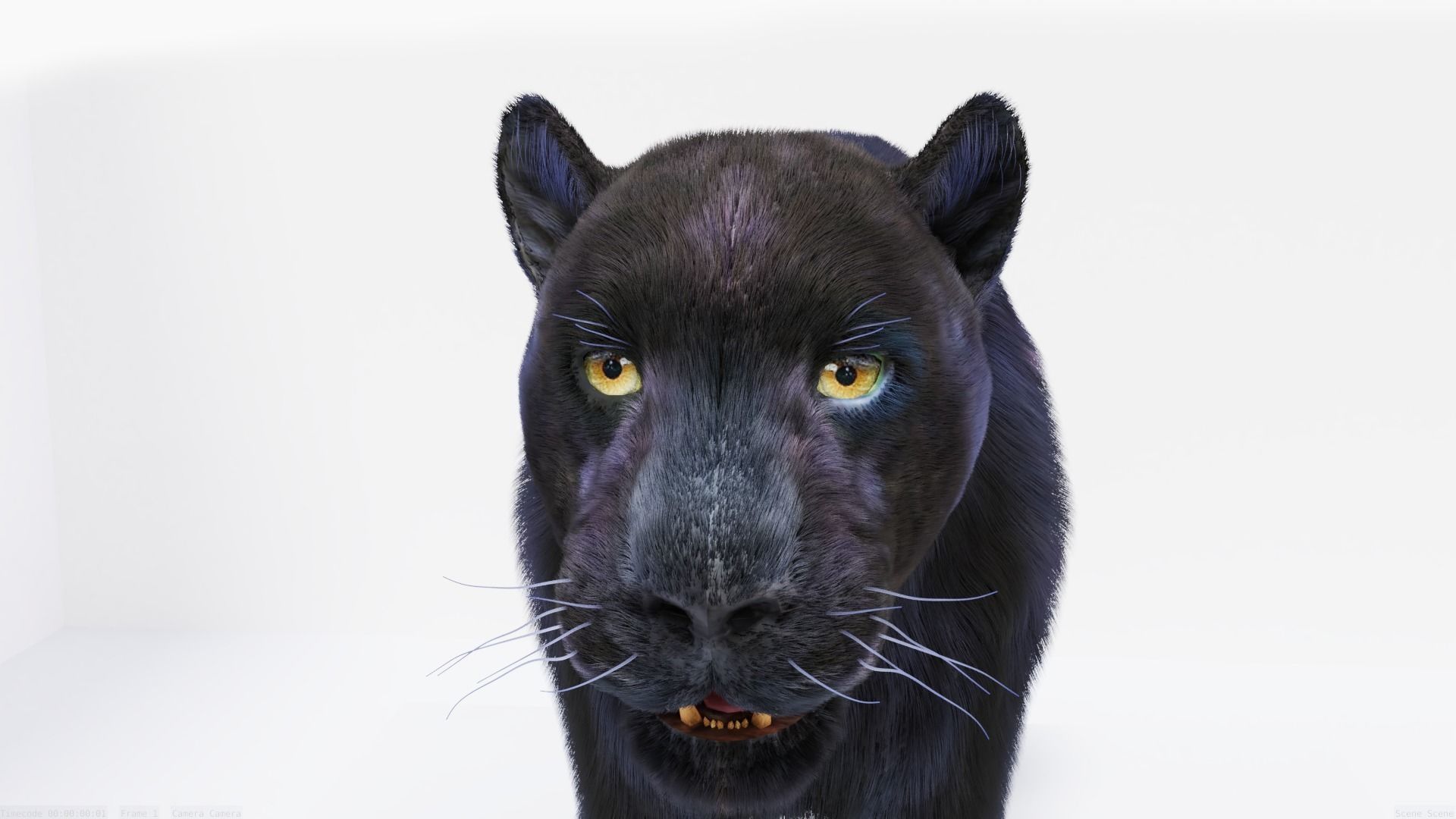 Realistic Fur Panther 02 3D Model NO RIG Low-poly 3D model_1