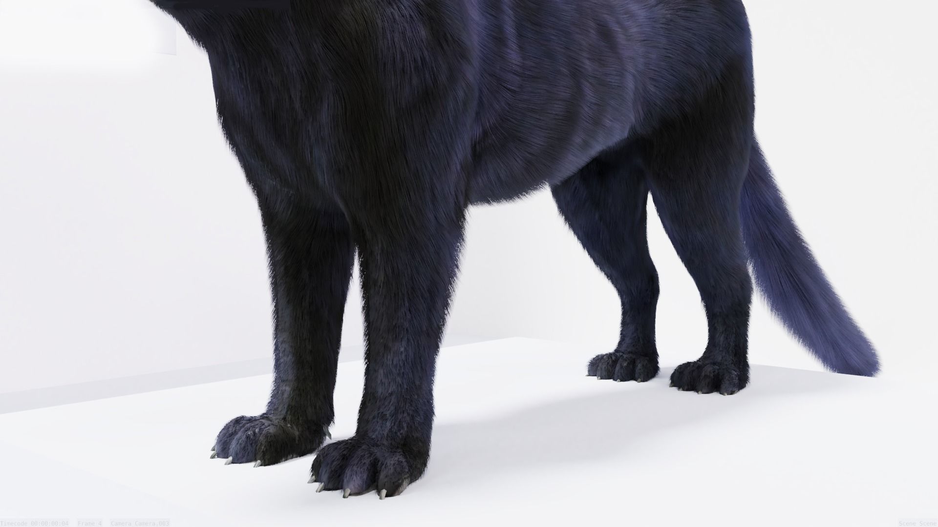 Realistic Fur Panther 02 3D Model NO RIG Low-poly 3D model_4