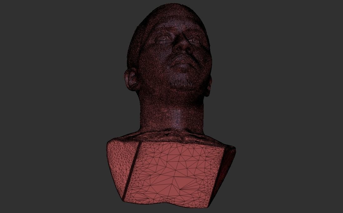 P Diddy bust ready for full color 3D printing 3D print model_46