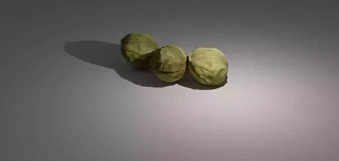 Nut - Walnut 3D model