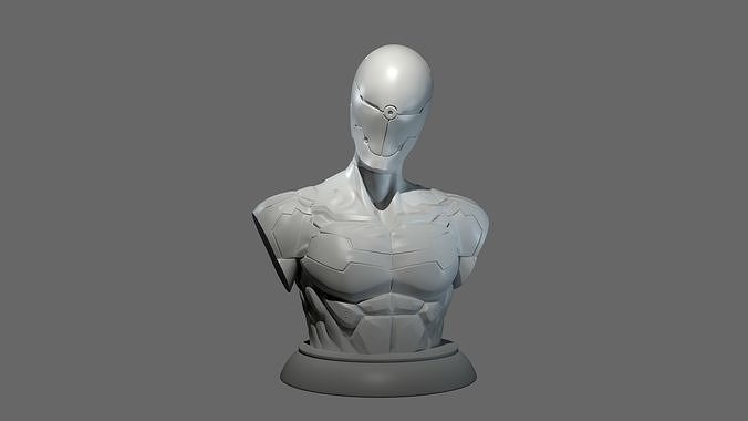 Gray Fox  Bust 3D print model