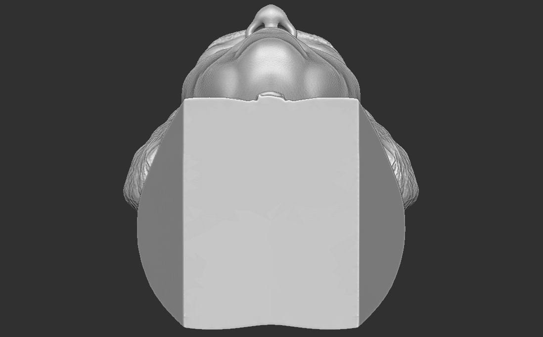 George Washington bust 3D printing ready stl obj formats 3D print model_27