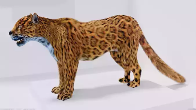 Realistic Fur Leopard 02 3D Model NO RIG Low-poly 3D model