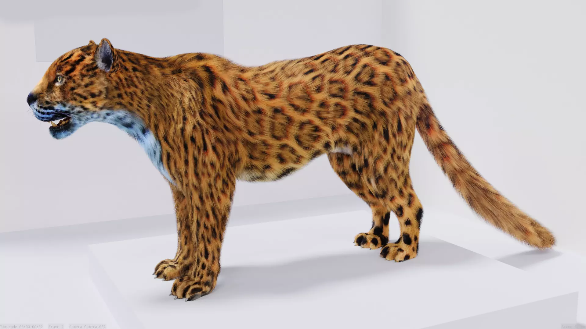 Realistic Fur Leopard 02 3D Model NO RIG Low-poly 3D model_0