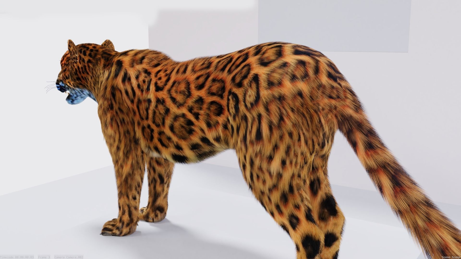 Realistic Fur Leopard 02 3D Model NO RIG Low-poly 3D model_1