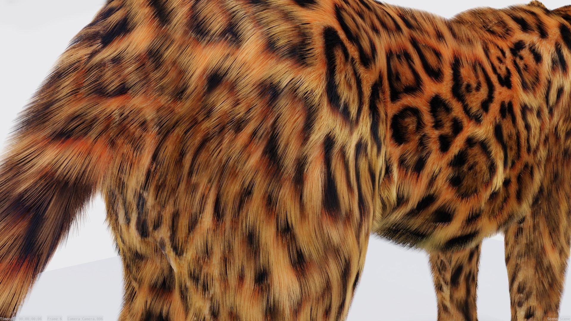 Realistic Fur Leopard 02 3D Model NO RIG Low-poly 3D model_4
