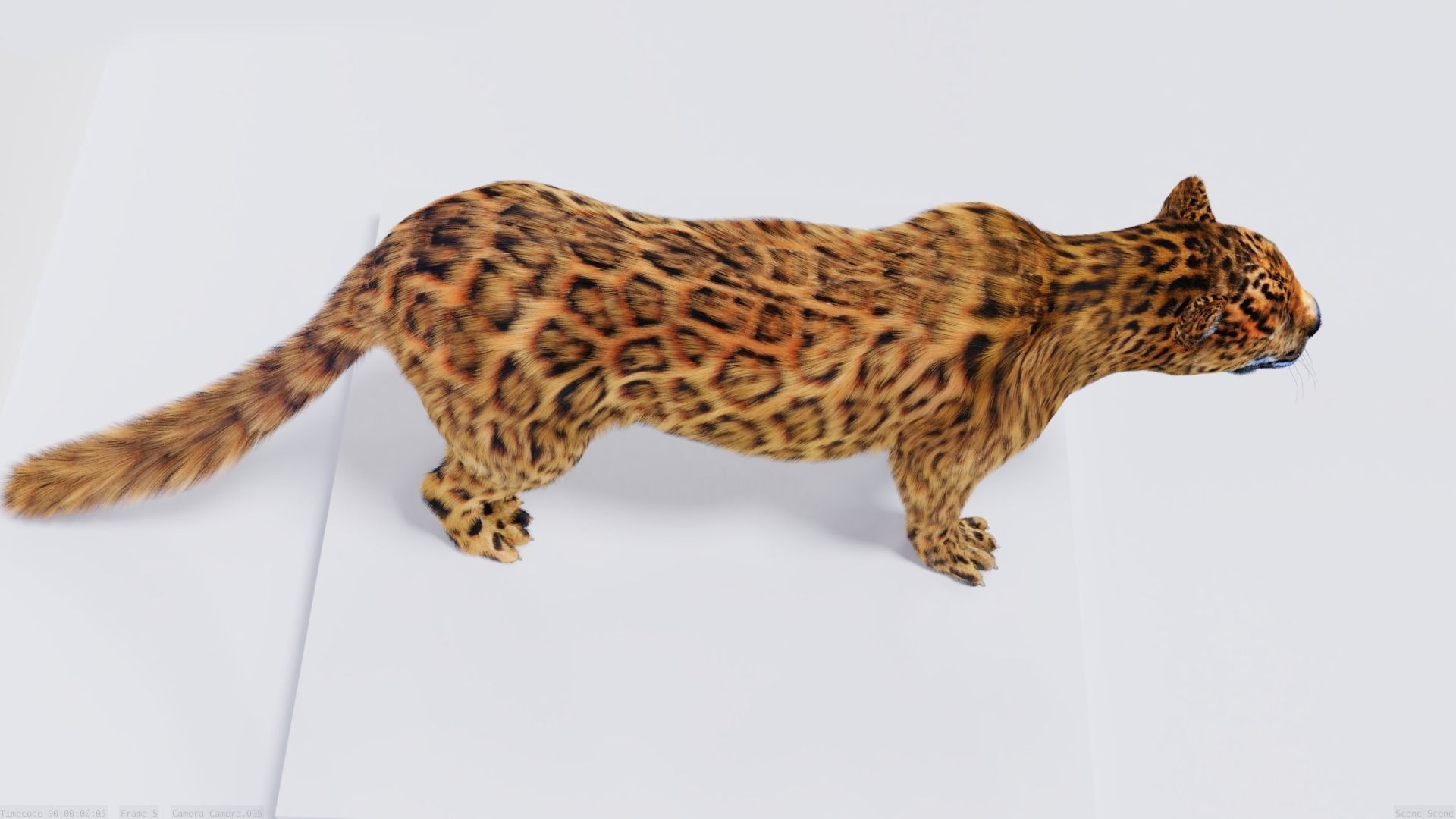 Realistic Fur Leopard 02 3D Model NO RIG Low-poly 3D model_3