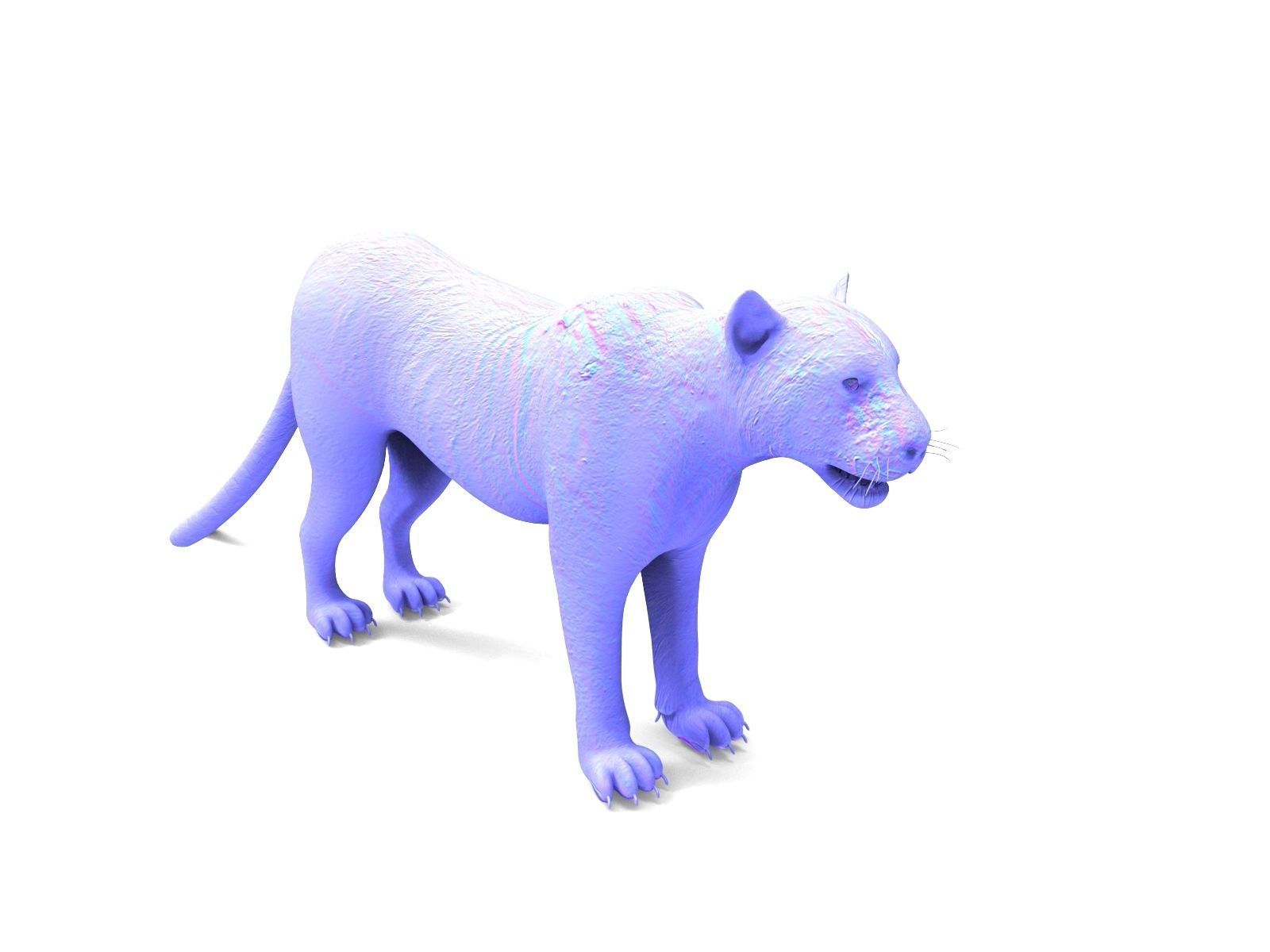Realistic Fur Leopard 02 3D Model NO RIG Low-poly 3D model_13
