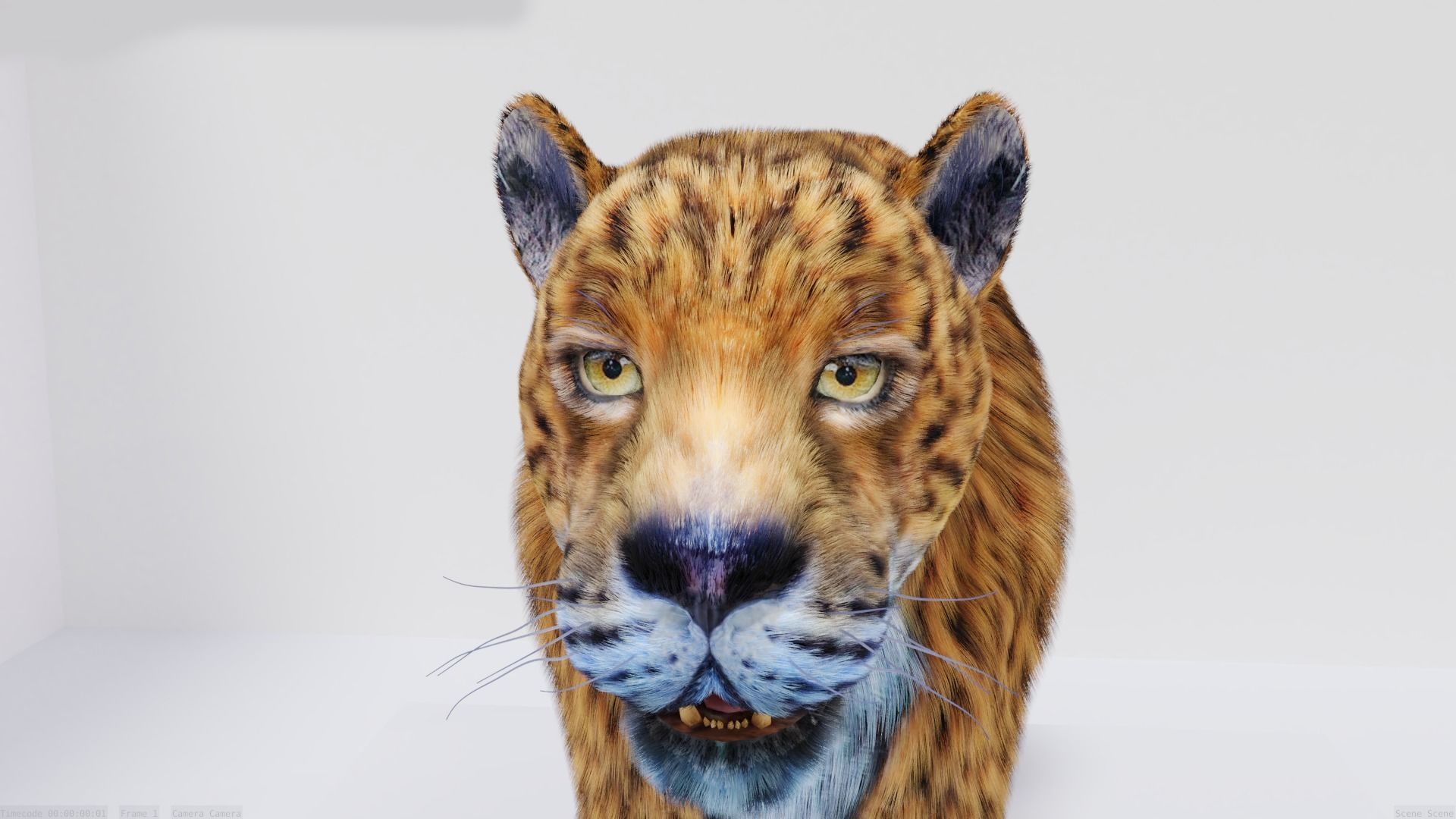Realistic Fur Leopard 02 3D Model NO RIG Low-poly 3D model_5