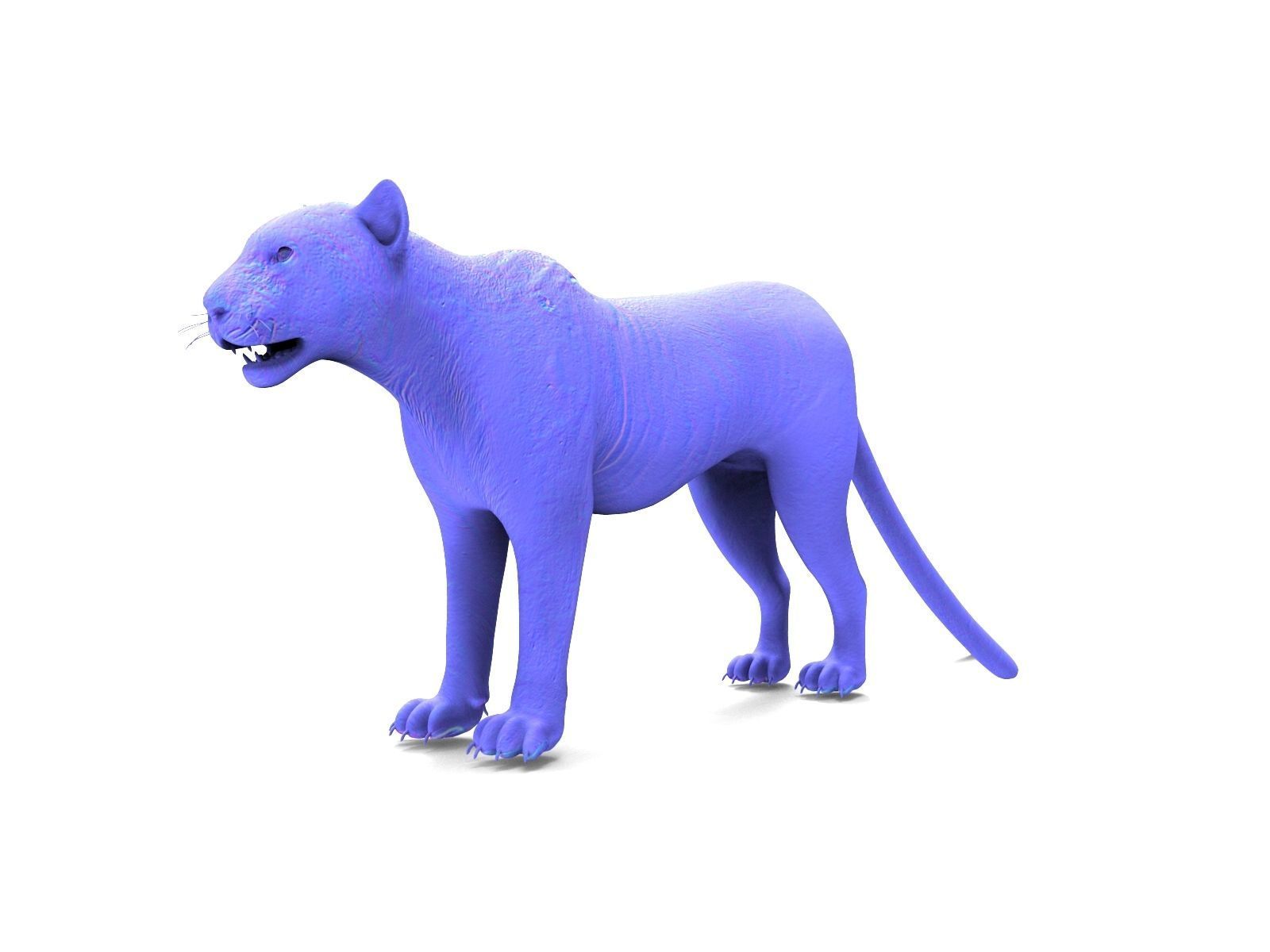 Realistic Fur Leopard 02 3D Model NO RIG Low-poly 3D model_12