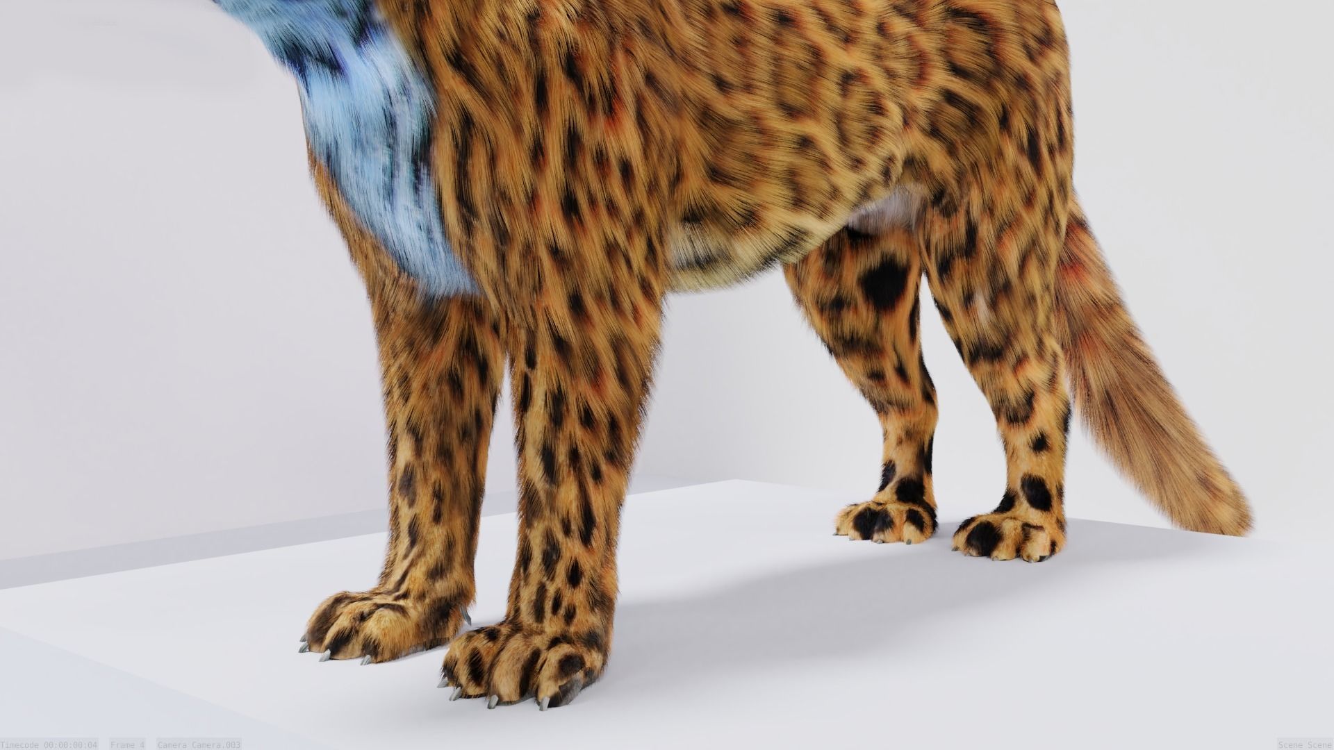 Realistic Fur Leopard 02 3D Model NO RIG Low-poly 3D model_2