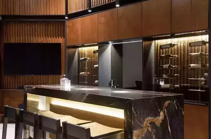 Luxury private House Bar and TV Room