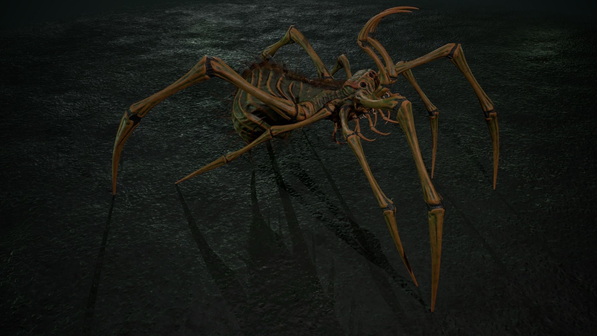 Spider 5 with long legs Low-poly 3D model_4