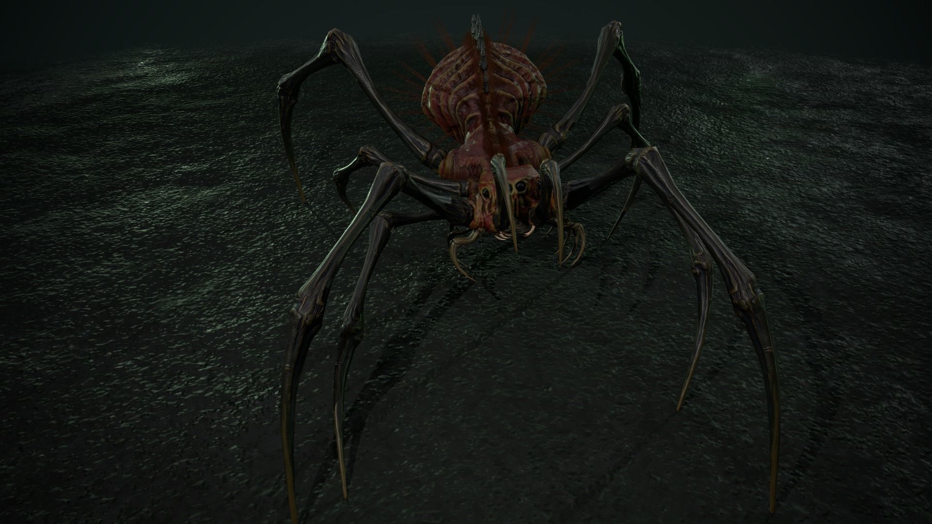 Spider 5 with long legs Low-poly 3D model_2