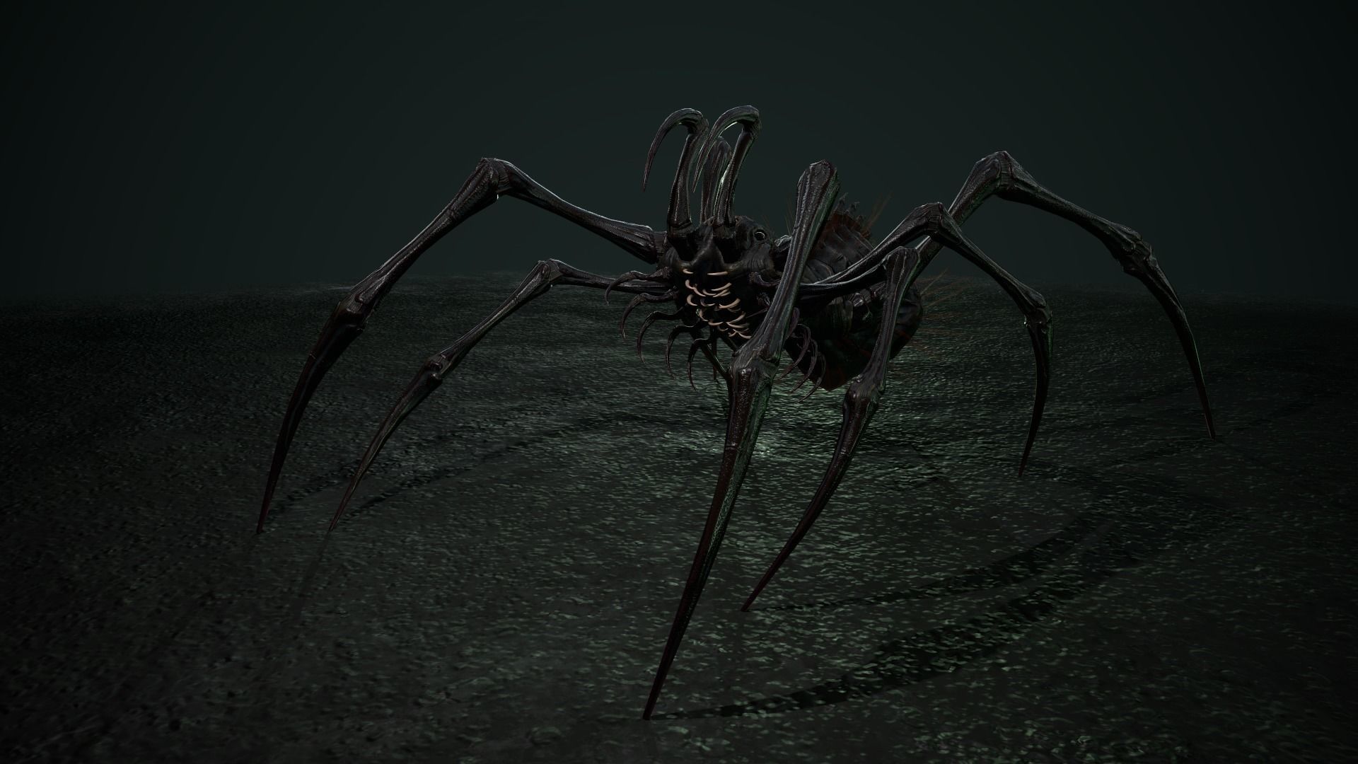 Spider 5 with long legs Low-poly 3D model_17