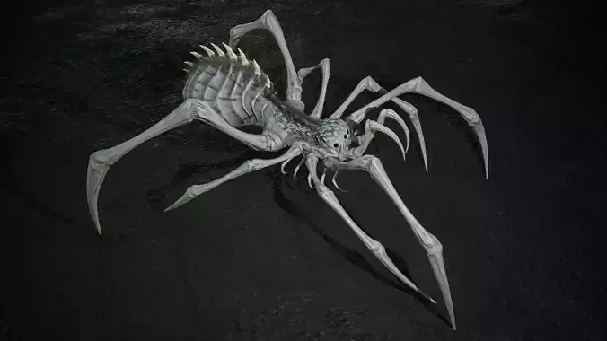 Spider 5 with long legs Low-poly 3D model