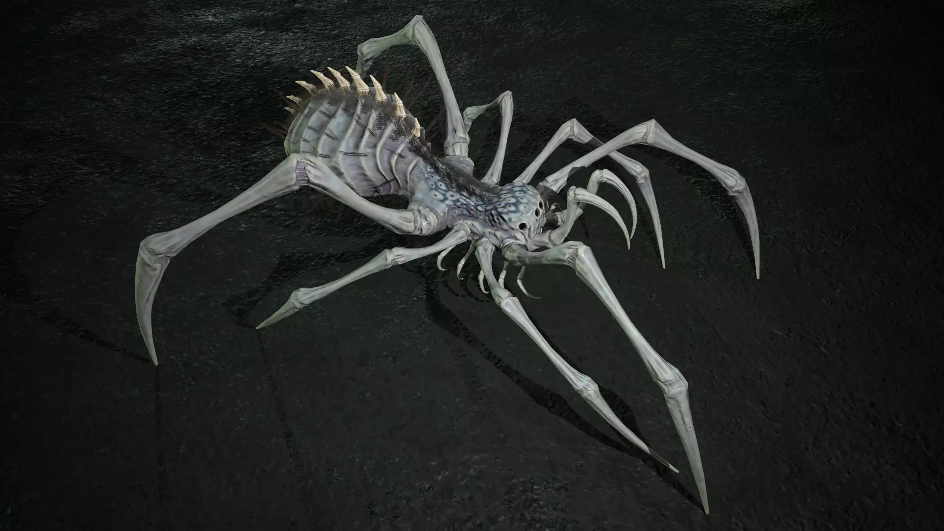 Spider 5 with long legs Low-poly 3D model_0