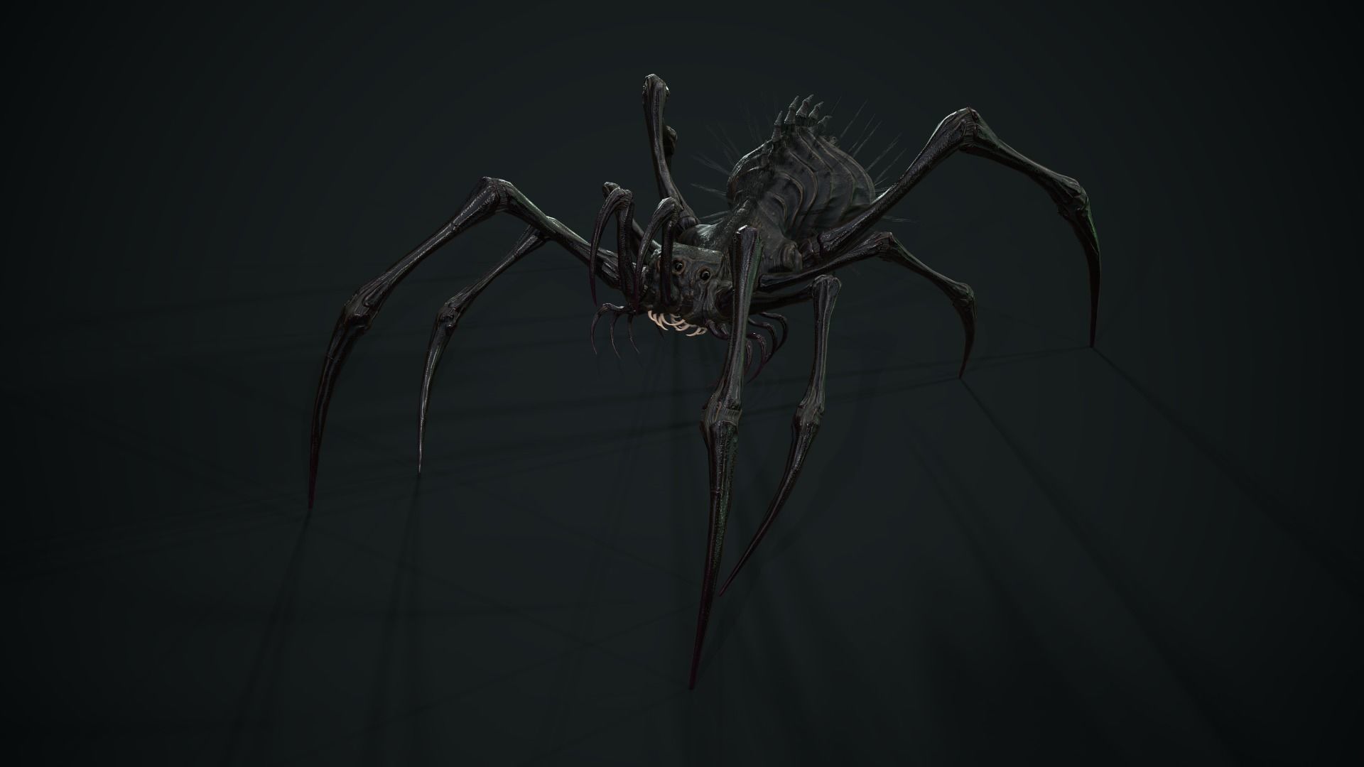 Spider 5 with long legs Low-poly 3D model_3