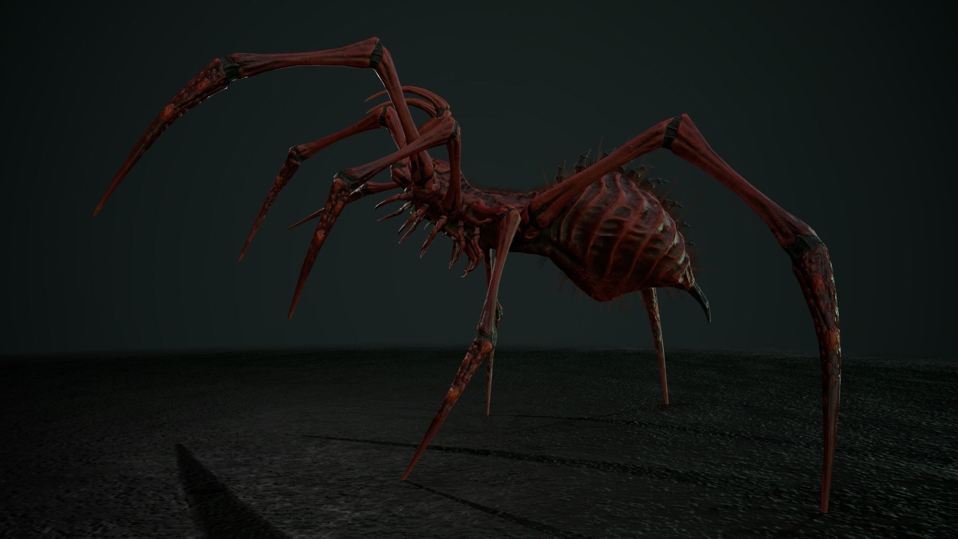 Spider 5 with long legs Low-poly 3D model_6