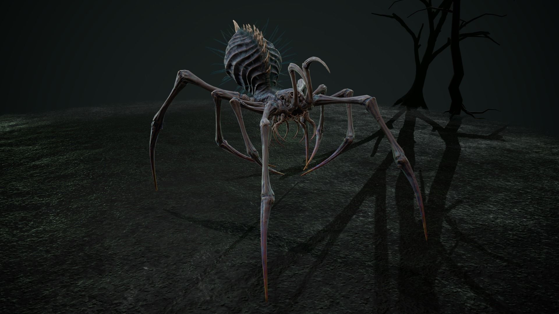 Spider 5 with long legs Low-poly 3D model_10