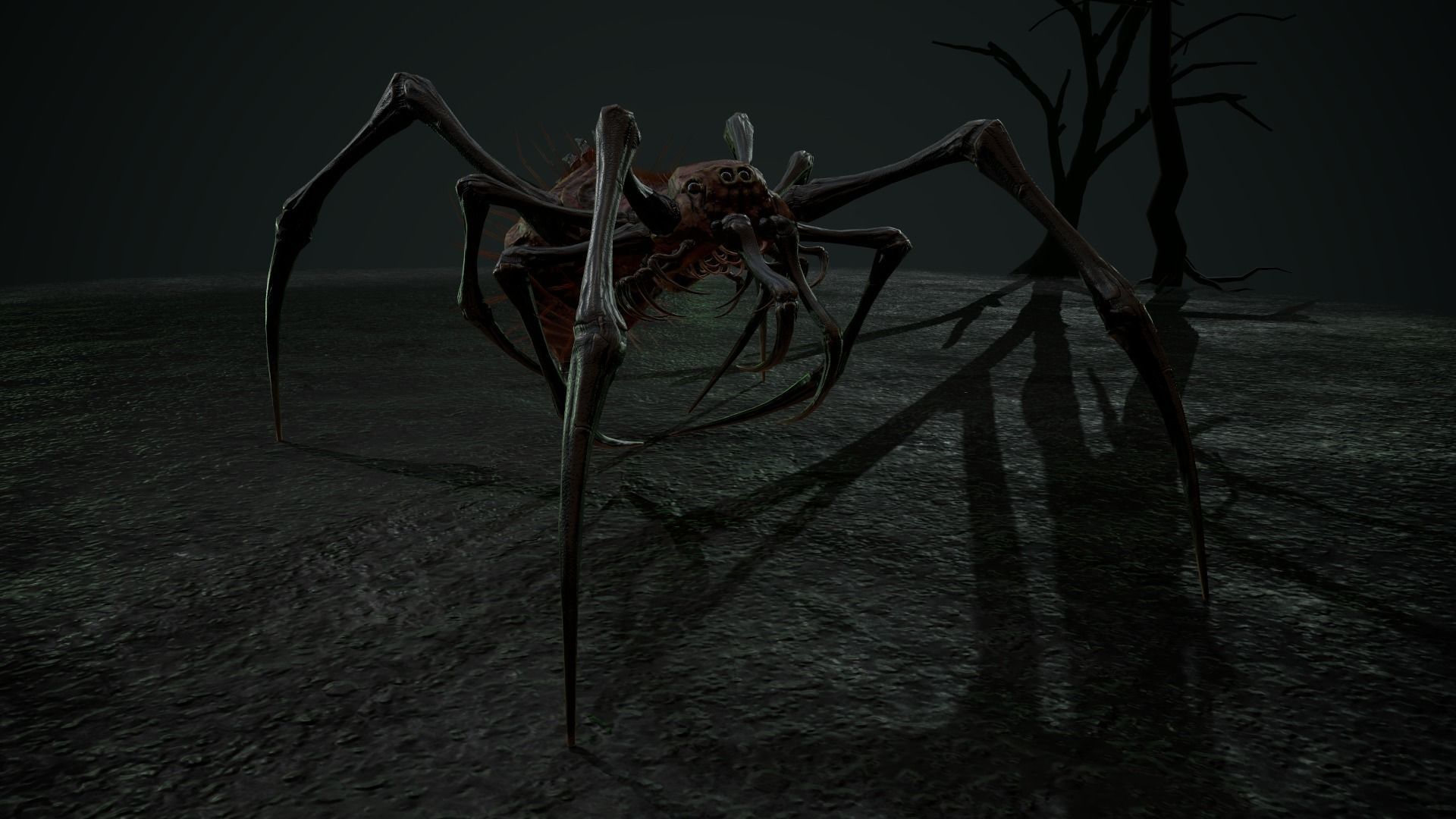 Spider 5 with long legs Low-poly 3D model_12