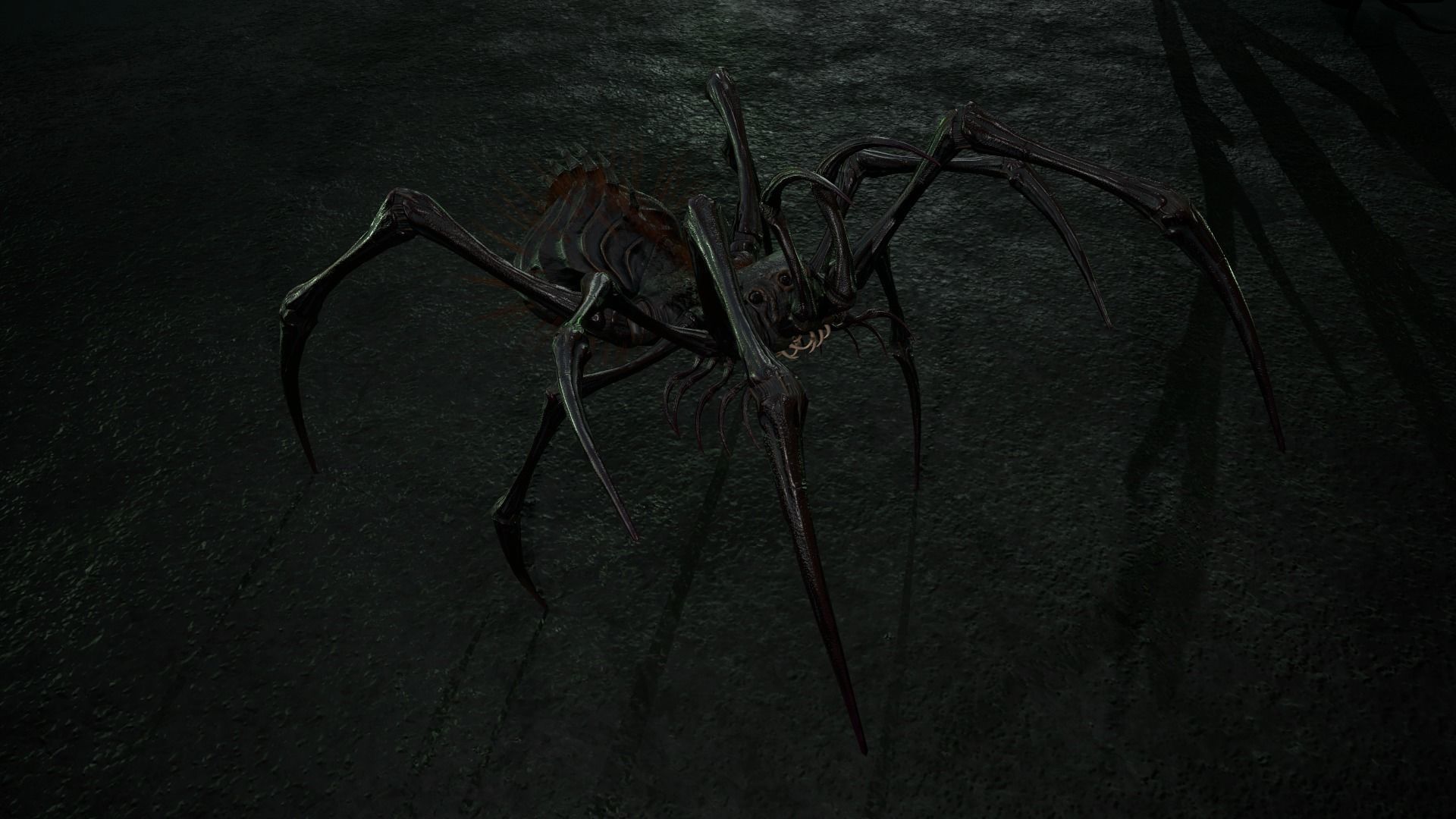 Spider 5 with long legs Low-poly 3D model_16