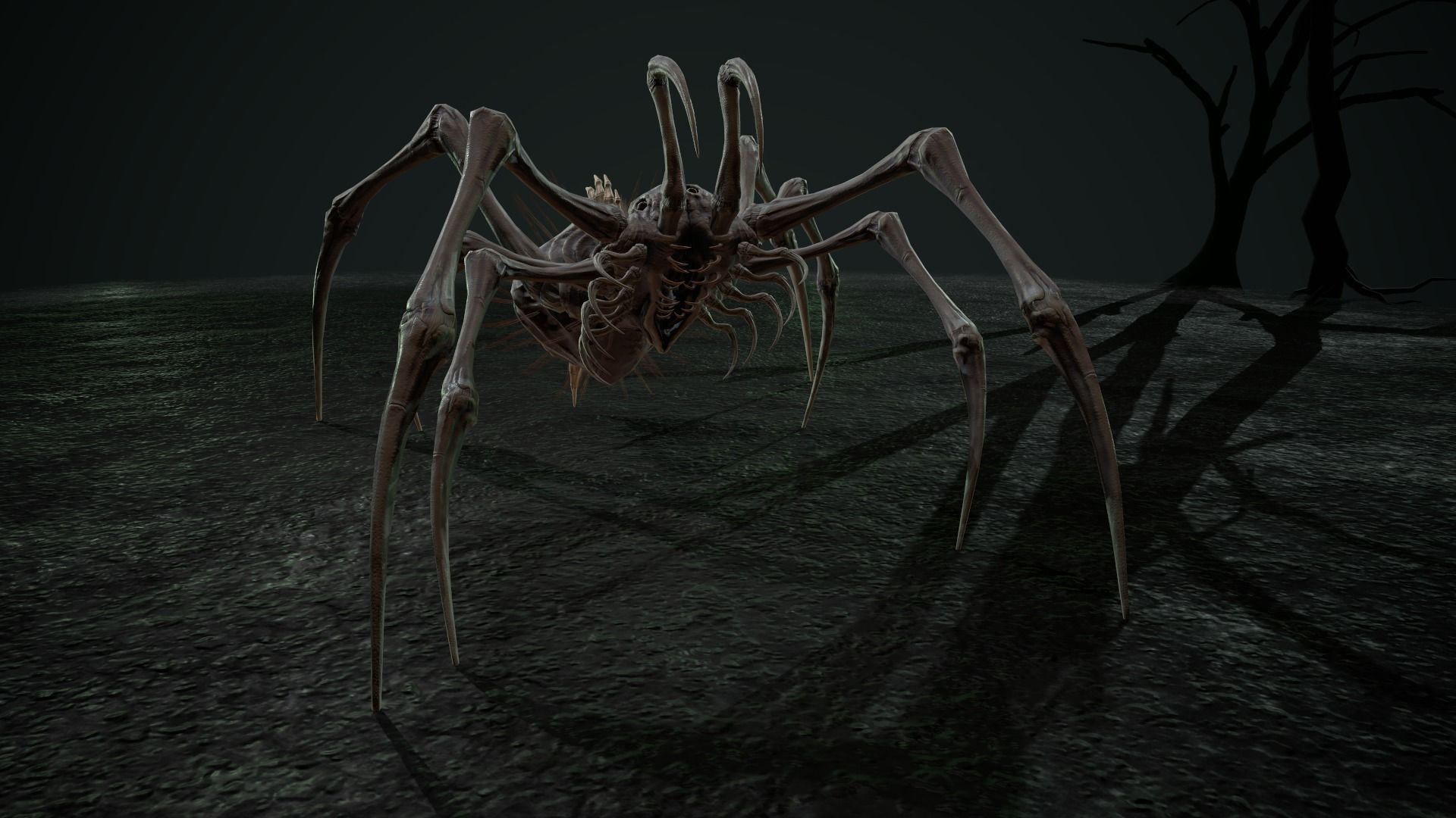 Spider 5 with long legs Low-poly 3D model_13