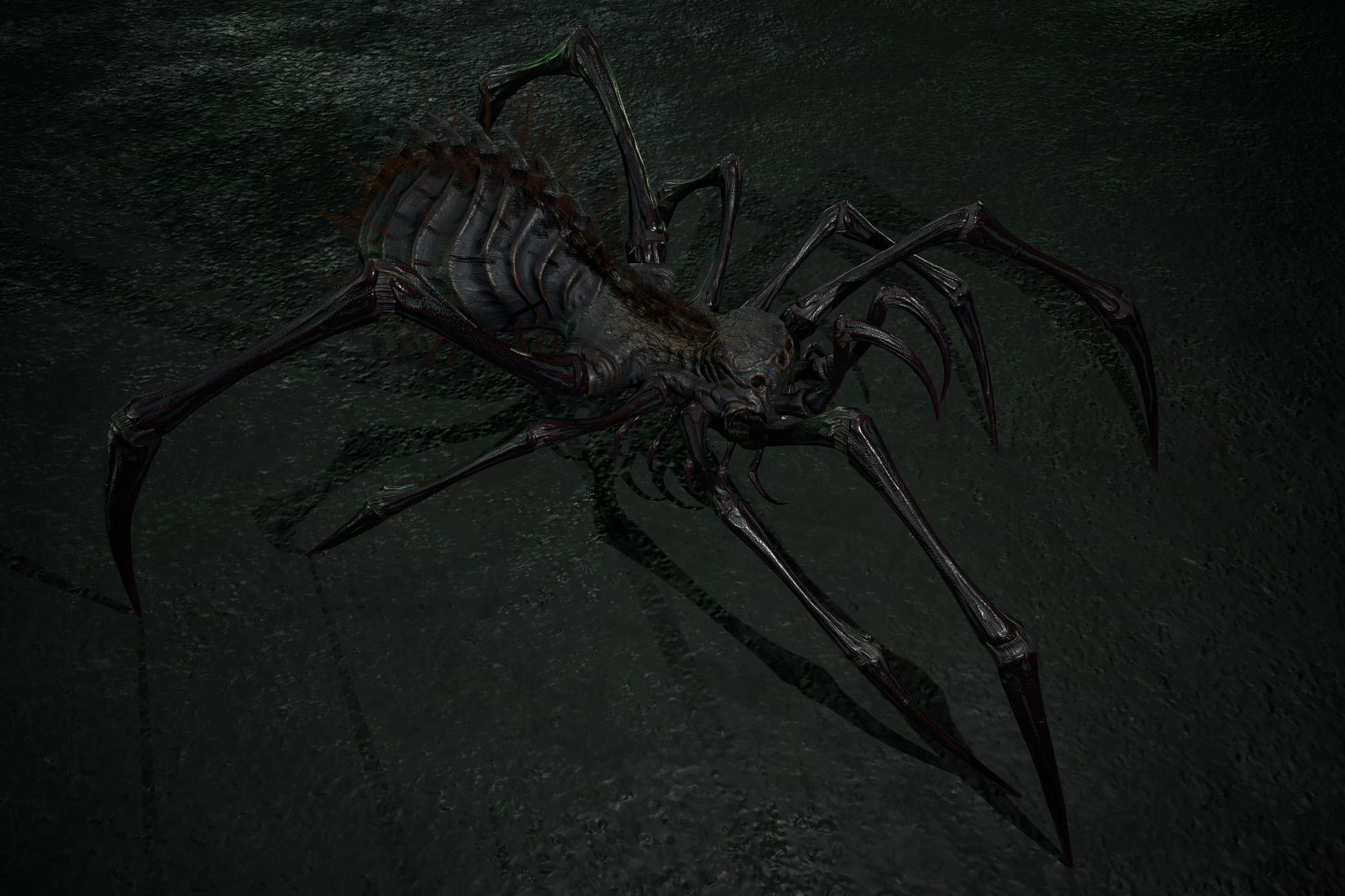 Spider 5 with long legs Low-poly 3D model_22