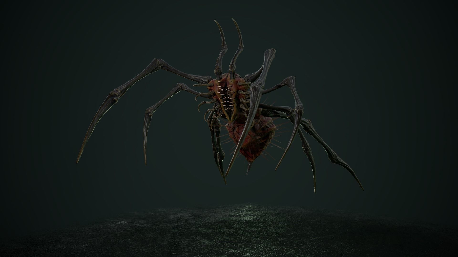 Spider 5 with long legs Low-poly 3D model_19