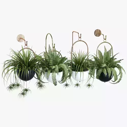 Boho hanging planter