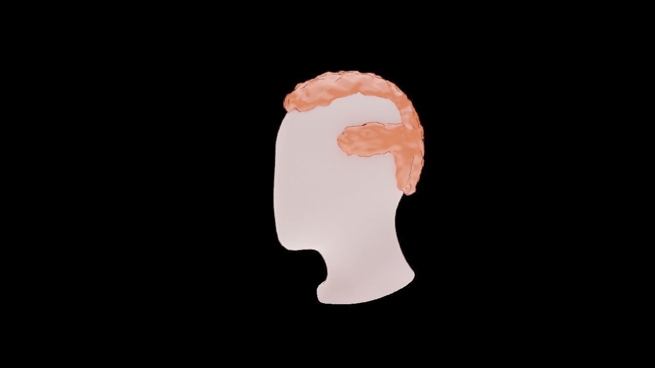 Base Haircuts 46-50 Low-poly 3D model_22
